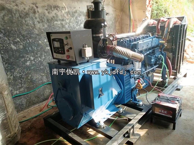 2024年3月5日，200kw濰坊雷納發(fā)電機組某學校到貨安裝