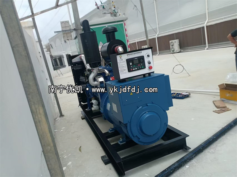 2025年5月15日，300kw柴油發(fā)電機(jī)組到貨試機(jī)調(diào)試